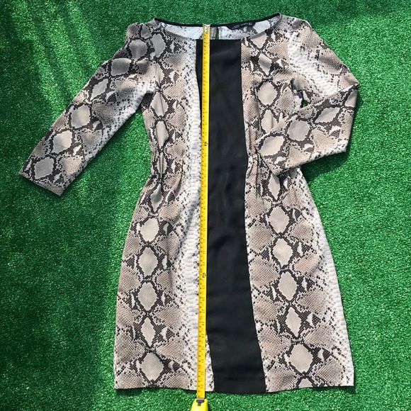 💖 5 for $25 💖 ZARA 🐍 Print Dress - Picture 4 of 8